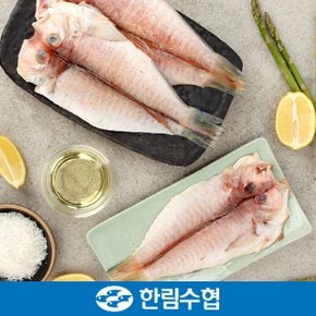 [제주 한림수협] 제주직송 제주 특 옥돔 8마리 세트 (옥돔 280g x 8팩)