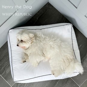 [NEW] 애견 호텔침구 쿠션솜 Henry the Dog Ultra MicrofIber Cushion(LS/S/M/L/XL)