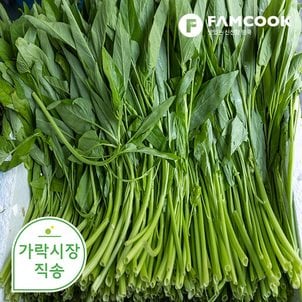 팸쿡 가락시장직송 공심채(모닝글로리) 300g