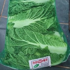  [1인1개구매가능]국내산 통배추 생배추 4-6kg (2-3포기)