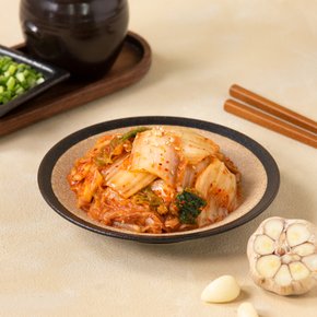 종가집 마늘듬뿍김치 750g