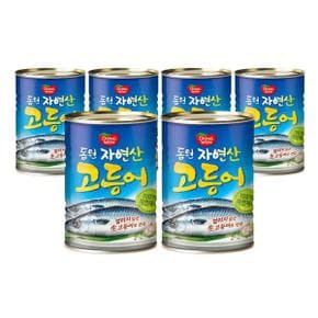 동원 자연산 고등어 400g 6캔