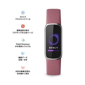 Fitbit Luxe 트래커 피트니스 트래커 블랙흑연 [5일 이상 라이프스마트 워치]