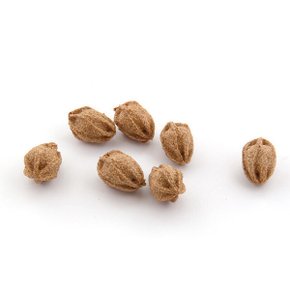 공굴리는 고양이 국산 마따따비 볼 장난감 PMC-373 (골라담기).