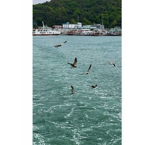 [당진시] 충청당진난지도해나루펜션