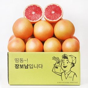 직수입 자몽 루비자몽 레드자몽 대과 15과