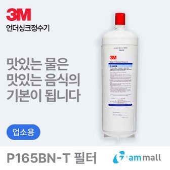 3M [자가교체전용 특가] P165BN-T (SGP165BN-T 석회질 제거용 필터)