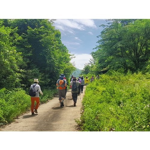 https://media.eoding.com/media/travelagent/40/imagecontent/힘내라2.jpg
