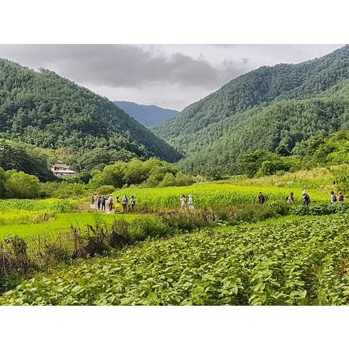 https://media.eoding.com/media/travelagent/40/imagecontent/힘내라.jpg