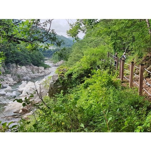 https://media.eoding.com/media/travelagent/40/imagecontent/햄내라3.jpg