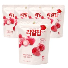 프리미엄 리얼칩 딸기13g x 5팩/10팩  국내산 생딸기100% 영양가득 동결건조 딸기칩