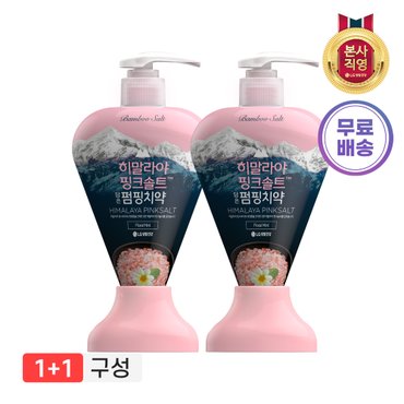 엘지생활건강 히말라야핑크솔트 펌핑치약 285g(플로럴) x2개