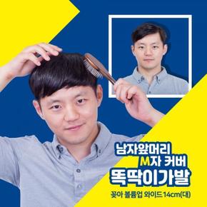 남자 앞머리 M자가발 인모믹스 와이드 14cm (S2086597)