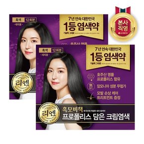 리엔 흑모비책 프로폴리스 염색약 480g 흑색 x 2개