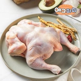 에그파파 냉장 닭고기 삼계탕 백숙 11호