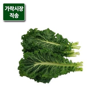 팸쿡 가락시장직송 겨자잎 300g