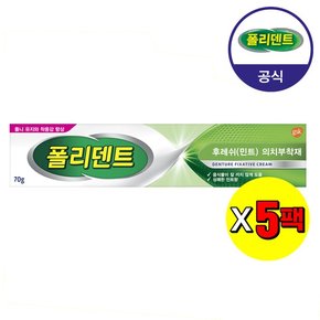 의치 부착재 민트향 70g×5개