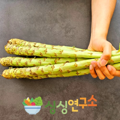 상품이미지4
