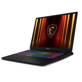 [공식] MSI 크로스헤어 A17 HX D8WFKG-R7 QHD+ (라이젠7-8840HX/RTX5060/16GB/240Hz)