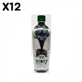 FK 블루베리원액참존 835ml X12