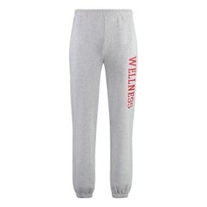 Track pants SWAW2331HG_HEATHERGRAY grey