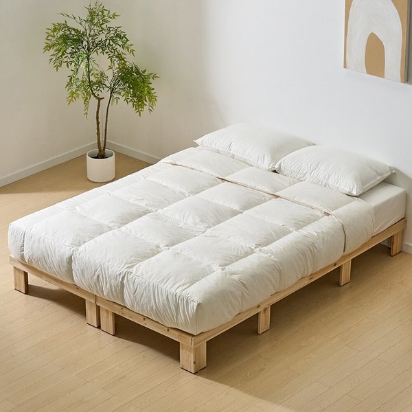 [착불]르에반 삼나무 평상형 침대 프레임 퀸_