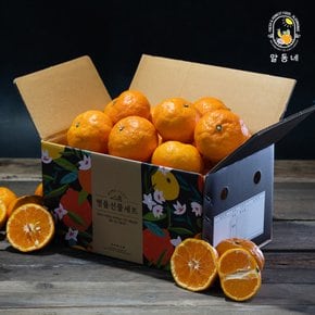 봄 감귤 카라향 4.5kg 소과(42-54과)
