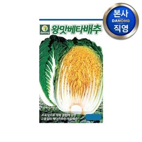 왕맛베타 배추 씨앗 300립 . 야채 채소 가을 김장 텃밭 베타카로틴 씨 종자