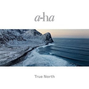 a-ha 트루 노스 CD 재패니즈 에디션 보너스 트랙 SICP-6489 재패니즈 익스포지션 NEW