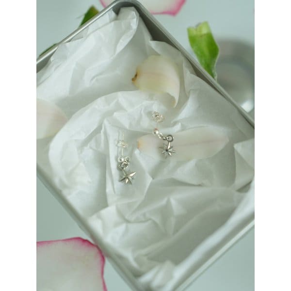 Starlit Earring