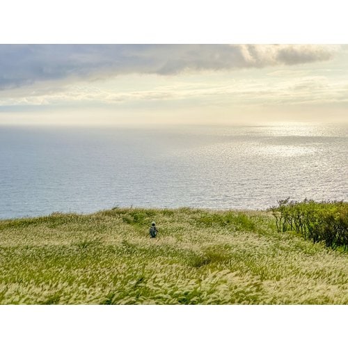 https://media.eoding.com/media/travelagent/40/imagecontent/IMG_3709_paR3m44.jpg