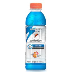 게토레이 블루볼트 600ml 20패트