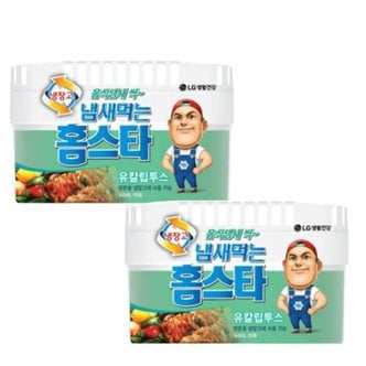  홈스타 냉장고탈취제 냄새먹는 탈취제 420g 2개 유칼립