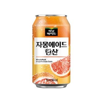  미닛메이드 자몽에이드 탄산 355ml/ 15캔