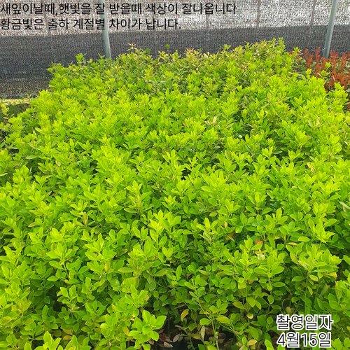 추가이미지