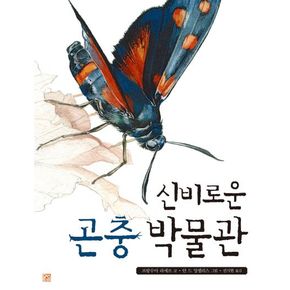 신비로운 곤충 박물관