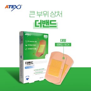 아텍스 더밴드 에이 대형 10매입