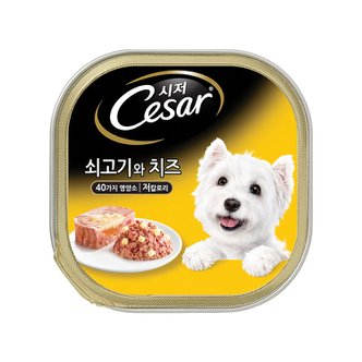 시저 시저캔 쇠고기와 치즈 100g 24개 (1박스) 애견간식 강아지캔