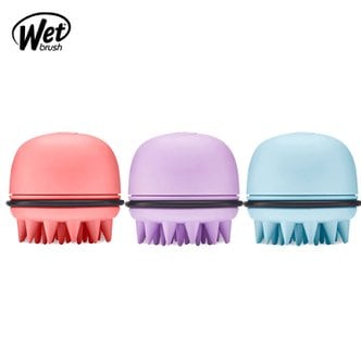 웻브러쉬 wet brush 스칼프 샴푸브러쉬 헤어브러쉬 드라이 빗 극손상모 헤어 스케일링 두피 마사지