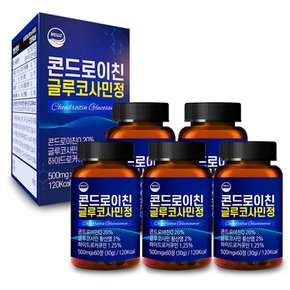 콘드로이친 글루코사민정 500mg x 60정 5개 10개월분