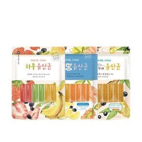 하루유산균 애견 강아지껌 12P