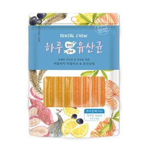 하루유산균 애견 강아지껌 12P