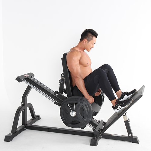 헬스기구레그 - GS SHOP 검색결과 >레그프레스, 신세계백화점” style=”width:100%” title=”검색결과 >레그프레스, 신세계백화점”><figcaption>검색결과 >레그프레스, 신세계백화점</figcaption></figure>
<figure><img decoding=