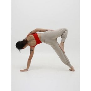 Vricksa yoga pants [ light gray ]