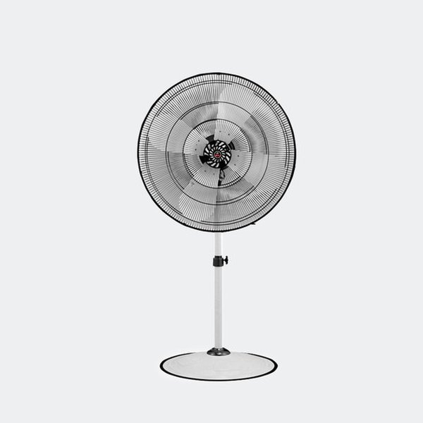 확대된 대표 대표이미지