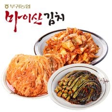 [한국농협김치] 전북대표 마이산김치 맛남3종4호(막김치/묵힌김치/갓김치 각1kg)