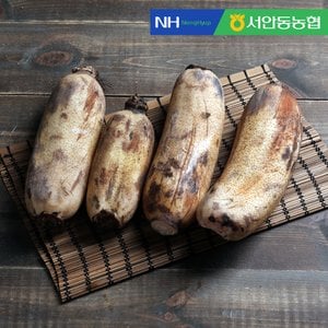 더조은푸드 [서안동농협] 흙 연근 알뜰 2kg