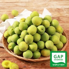 [6/2(월) 이후순차출고]광양매화골매실 매실 왕특 10kg(청매실 엑기스용)
