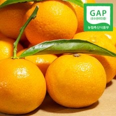 [GAP인증] 제주직송 웰굿 저농약 감귤 5kg(S-2S,로얄과,못난이)