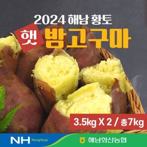 24년 화산농협 해남 황토 햇 밤고구마  7kg(3.5kg+3.5kg)[34531621]